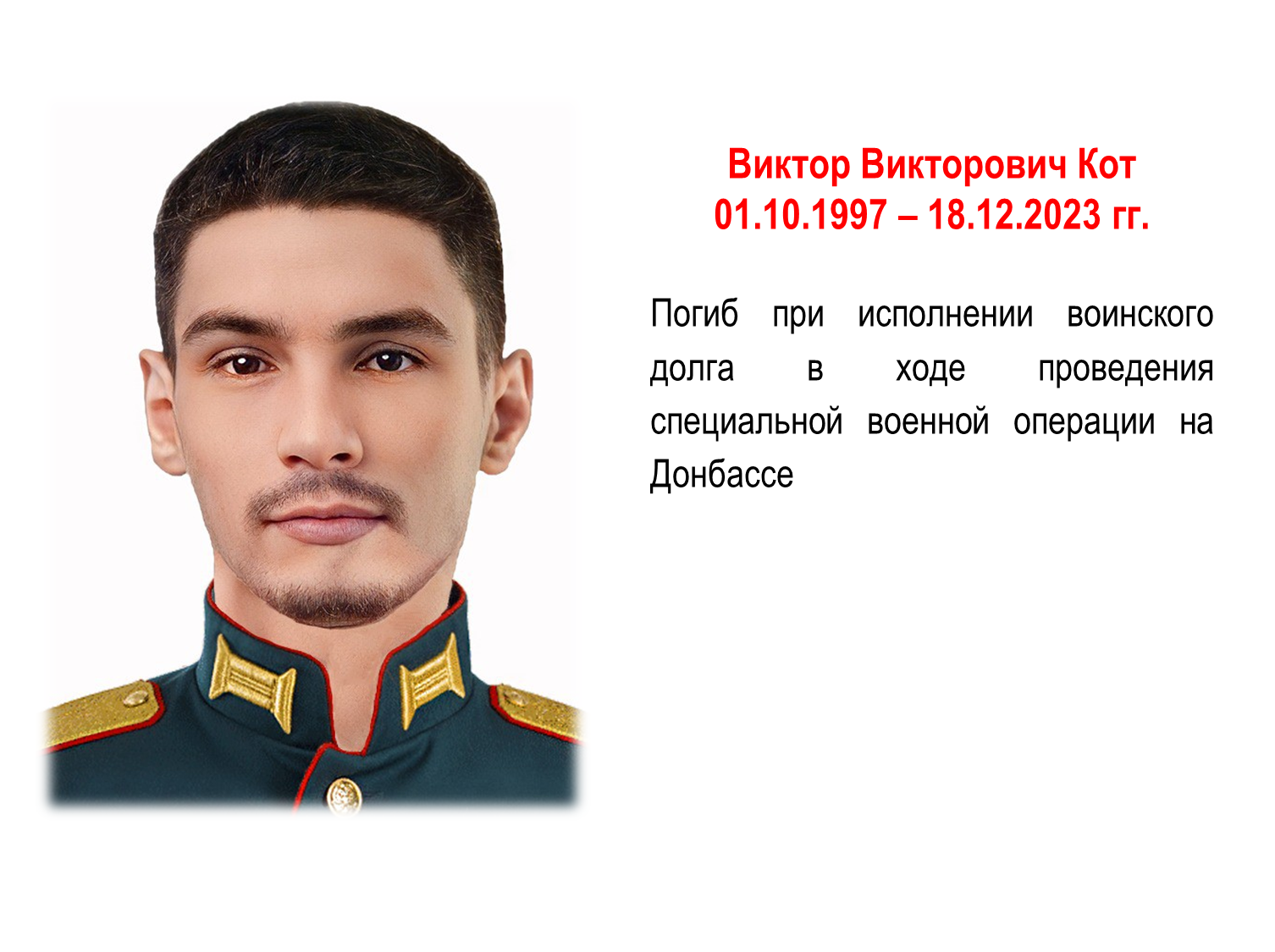 Кот Виктор