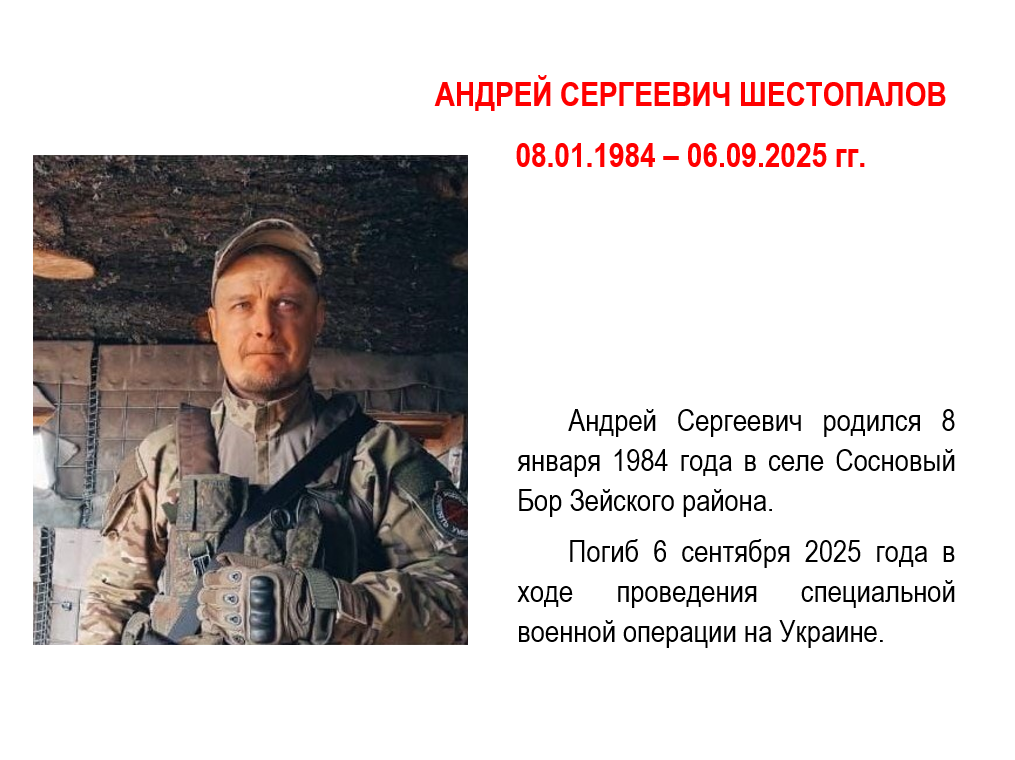 Шестопалов Андрей Сергеевич