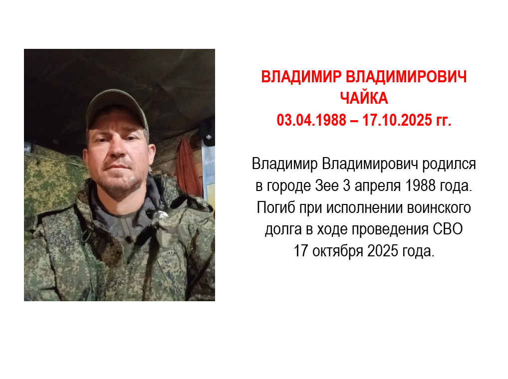 Чайка Владимир Владимирович